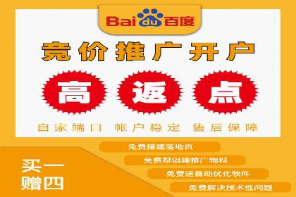 百度竞价广告投放策略及成功盈利案例